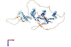 ZNF782 Protein (AA 1-699) (His tag)