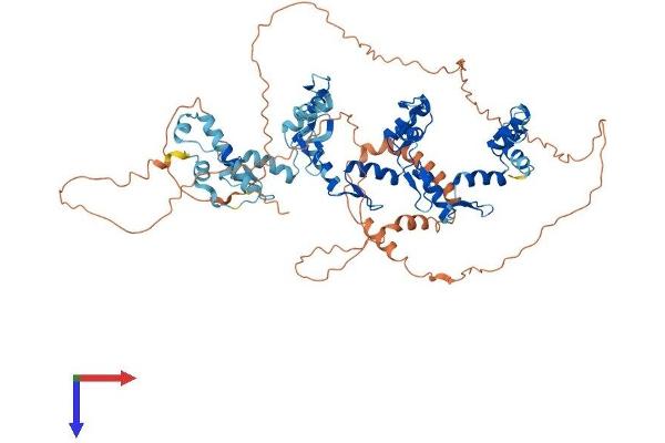 ZNF782 Protein (AA 1-699) (His tag)