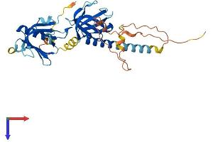 DOK4 Protein (AA 1-326) (His tag)