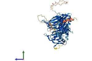 Protein Structure (PS) image for Acyl-CoA Thioesterase 11 (ACOT11) (AA 1-607) protein (His tag) (ABIN7551856)
