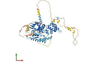 Protein Structure (PS) image for Large Subunit GTPase 1 Homolog (Lsg1) (AA 1-644) protein (His tag) (ABIN7557224)