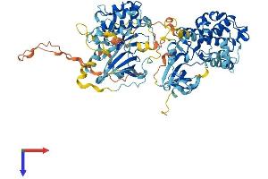 RPS6KA1 Protein (AA 1-724) (His tag)