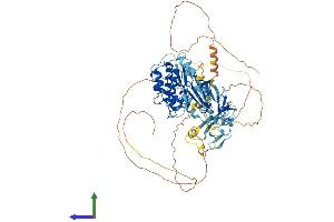 Protein Structure (PS) image for Doublecortin-Like Kinase 2 (DCLK2) (AA 1-766) protein (His tag) (ABIN7553623)
