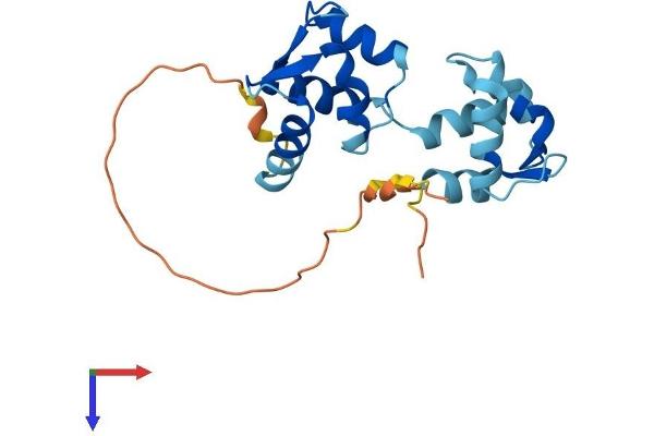 CALML4 Protein (AA 1-196) (His tag)