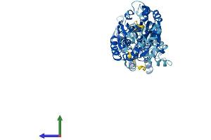 CPSF3L Protein (AA 1-600) (His tag)