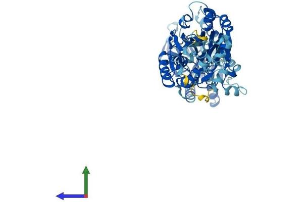 CPSF3L Protein (AA 1-600) (His tag)