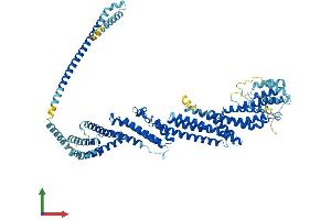 Protein Structure (PS) image for Exocyst Complex Component 3 (EXOC3) (AA 1-755) protein (His tag) (ABIN7557941)