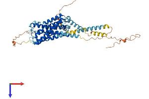 HTR7 Protein (AA 1-479) (His tag)