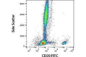 Flow cytometry surface staining pattern of human peripheral whole blood stained using anti-human CD20 (2H7) FITC antibody (20 μL reagent / 100 μL of peripheral whole blood). (CD20 Antikörper  (FITC))