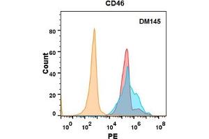 CD46 protein is highly expressed on the surface of Expi293 cell membrane. (CD46 Antikörper  (AA 35-328))