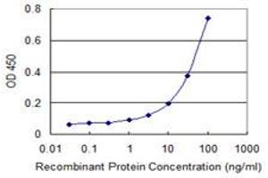Detection limit for recombinant GST tagged PTPN22 is 1 ng/ml as a capture antibody. (PTPN22 Antikörper  (AA 1-179))