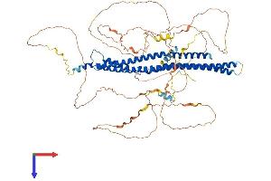 MTSS1 Protein (AA 1-755) (His tag)