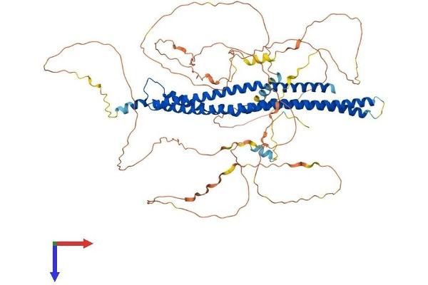 MTSS1 Protein (AA 1-755) (His tag)