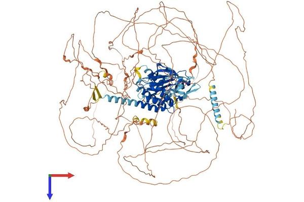 AATK Protein (AA 1-1374) (His tag)