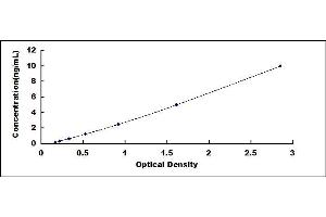 Typical standard curve (NCF2 ELISA Kit)