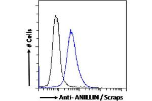 ABIN185086 Flow cytometric analysis of paraformaldehyde fixed MCF7 cells (blue line), permeabilized with 0. (Anillin Antikörper  (C-Term))