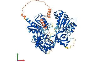 Protein Structure (PS) image for 5-Methyltetrahydrofolate-Homocysteine Methyltransferase Reductase (MTRR) (AA 1-696) protein (His tag) (ABIN7564497)