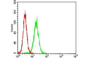 Flow Cytometry (FACS) image for anti-Wilms Tumor 1 (WT1) (AA 314-479) antibody (ABIN5684073)