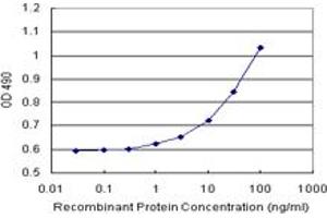 Sandwich ELISA detection sensitivity ranging from 1 ng/mL to 100 ng/mL.