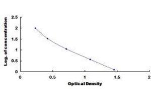Fibrinopeptide B (FPB) ELISA Kit