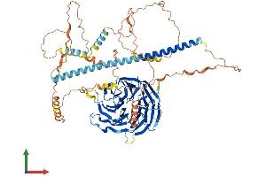 Protein Structure (PS) image for Striatin, Calmodulin Binding Protein 4 (STRN4) (AA 1-760) protein (His tag) (ABIN7556517)