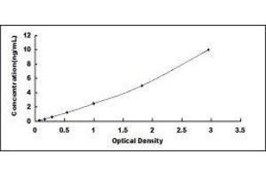 ELISA image for Tumor Necrosis Factor (Ligand) Superfamily, Member 11 (TNFSF11) ELISA Kit (ABIN415086)