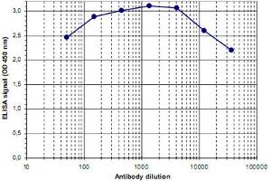 ELISA was performed using a serial dilution of Mbd2 polyclonal antibody .