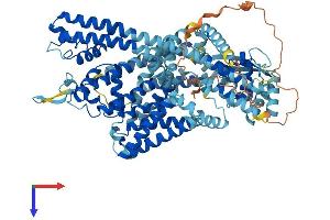 TPCN1 Protein (AA 1-817) (His tag)