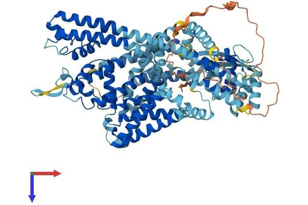 TPCN1 Protein (AA 1-817) (His tag)