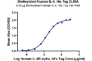 Immobilized Biotinylated Human IL-4, His Tag at 0. (IL-4 Protein (AA 25-153) (His-Avi Tag,Biotin))