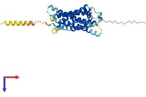 MAS1 Protein (AA 1-324) (His tag)