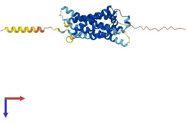 MAS1 Protein (AA 1-324) (His tag)