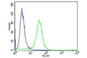 Flow cytometric analysis of HeLa cells using PCSK9 antibody (green) compared to an isotype control of rabbit IgG (blue); Ab was diluted at 1:25 dilution.