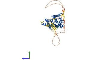 Protein Structure (PS) image for Cholinergic Receptor, Muscarinic 4 (CHRM4) (AA 1-479) protein (His tag) (ABIN7551804)
