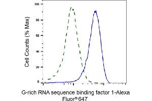 Validation of G-rich RNA sequence binding factor 1 knockdown using flow cytometry. (Rekombinanter GRSF1 Antikörper)