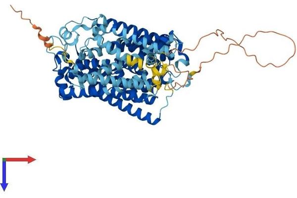 Solute Carrier Family 5 (Sodium/inositol Cotransporter), Member 11 (SLC5A11) (AA 1-673) protein (His tag)