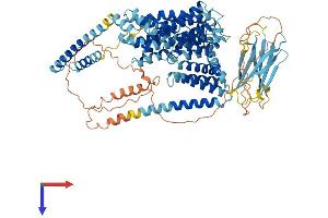OCA2 Protein (AA 1-833) (His tag)