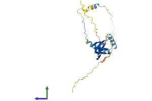 Protein Structure (PS) image for Basic Transcription Factor 3 (BTF3) (AA 1-204) protein (His tag) (ABIN7557814)