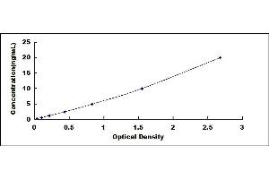 Typical standard curve (FOXP3 ELISA Kit)