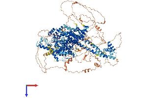 GAPVD1 Protein (AA 1-1458) (His tag)