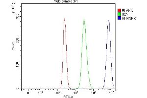 Flow Cytometry analysis of HepG2 cells using anti-hnRNP K/HNRNPK antibody (ABIN7601650). (HNRNPK Antikörper  (AA 40-463))