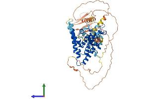 AlphaFold protein structure predicition of Mouse Recombinant Nr2c1 Protein, UniprotID Q505F1