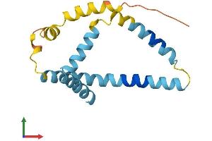 AlphaFold protein structure predicition of Mouse Recombinant Fundc2 Protein, UniprotID Q9D6K8