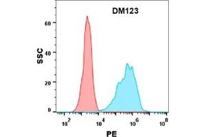 Flow cytometry analysis with Anti-PD-L1 (DM123) on Expi293 cells transfected with human PD-L1 (Blue histogram) or Expi293 transfected with irrelevant protein (Red histogram). (PD-L1 Antikörper  (AA 19-328))