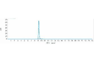 anti-TNFRSF10B (Tilogotamab Biosimilar) antibody