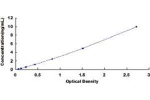 SCARA5 ELISA Kit