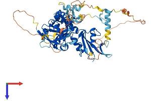GRB7 Protein (AA 1-535) (His tag)