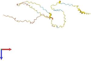 GCET2 Protein (AA 1-178) (His tag)
