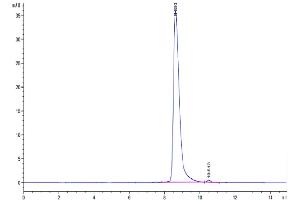 Size-exclusion chromatography-High Pressure Liquid Chromatography (SEC-HPLC) image for SLAM Family Member 7 (SLAMF7) (AA 23-226) protein (His tag) (ABIN7275629)