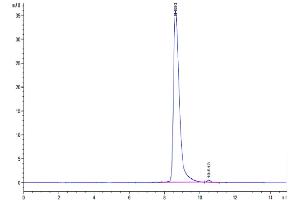 The purity of Cynomolgus SLAMF7 is greater than 95 % as determined by SEC-HPLC. (SLAMF7 Protein (AA 23-226) (His tag))